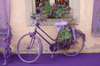 Bicicleta Lavender