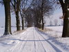 estrada do inverno