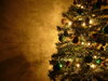 Árvore de Natal da Graham 15