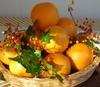 citrus inverno 2