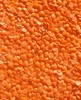 imagem da colheita de lentilhas vermelhas