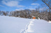 caminho de inverno até o galpão