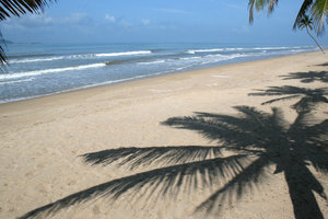 praia tropical 3
