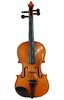 Violino