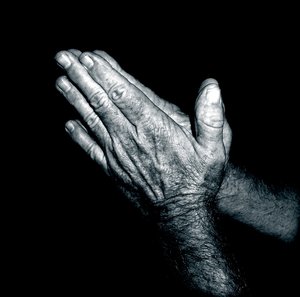 Mãos Praying - Duotone