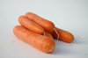 Carrot 4