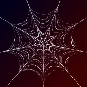 Web de aranha 2