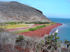ilha galápagos