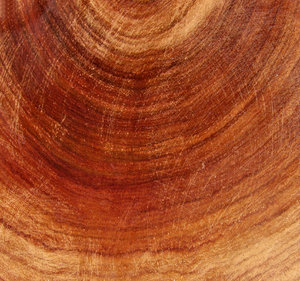texturas woodgrain