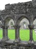 Abbey Cong, Mayo