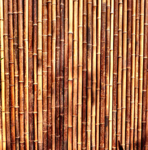 bambu tela fence1